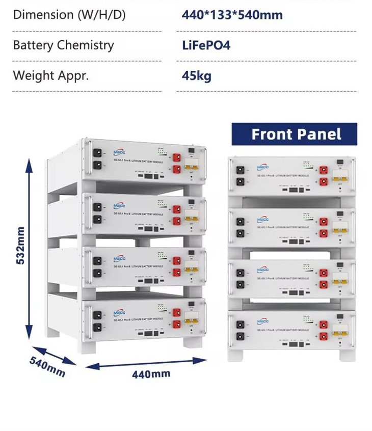 51.2V 100AH Lifepower4 Server Rack Battery